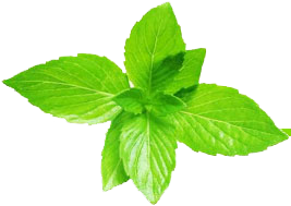       Стоматологический центр «ЗМ» в Махачкале